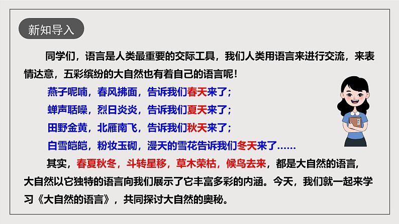 人教部编版语文八年级下册5《大自然的语言》课件第3页