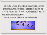 人教部编版语文八年级下册7《 大雁归来》课件+导学案+素材