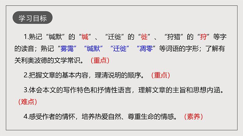 人教部编版语文八年级下册7《 大雁归来》课件第4页