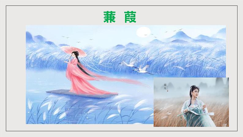 人教部编版语文八年级下册12 《诗经二首》《蒹葭》课件第5页