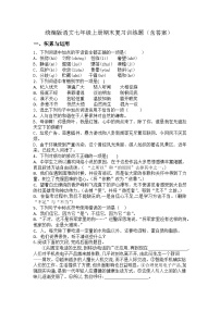 统编版语文七年级上册期末复习训练题（含答案）