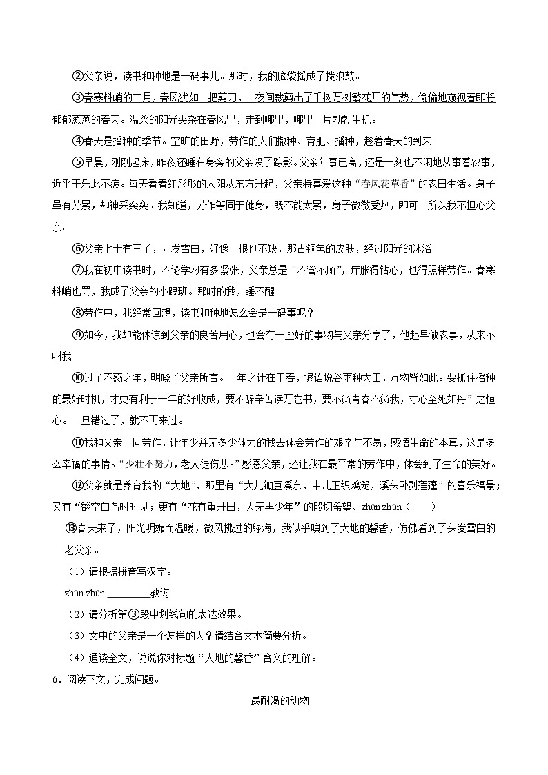 2023-2024学年沪教版七年级（上）期末语文试卷（含答案）第3页