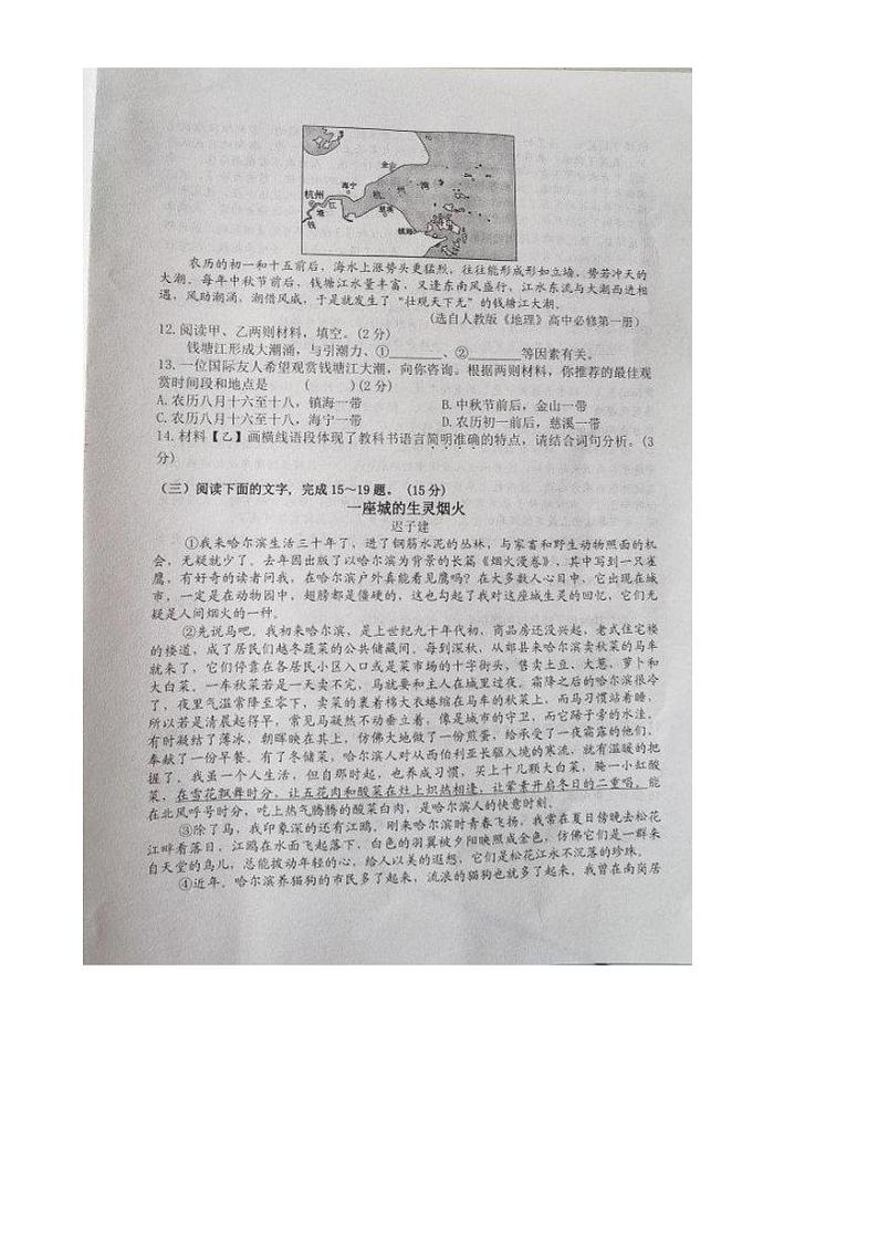 吉林省长春市榆树市慧望初级中学2024-2025学年八年级上学期期末语文测试题第3页
