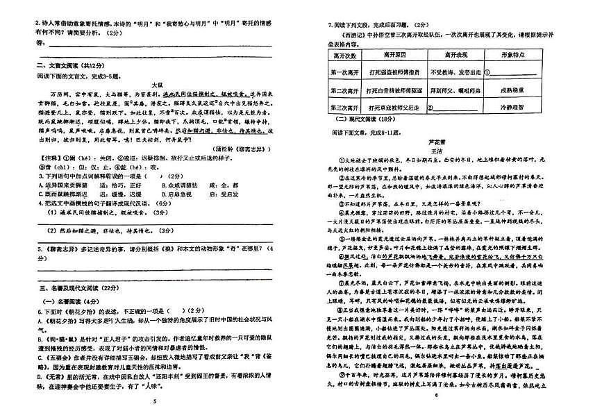 四川省成都市天府第四中学校2024-2025学年七年级上学期12月月考语文试题第3页