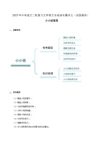 专题13 小小说阅读-2025年中考语文二轮复习文学类文本阅读专题讲义（全国通用）