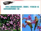 第1课《春》课件2024-2025学年统编版语文七年级上册