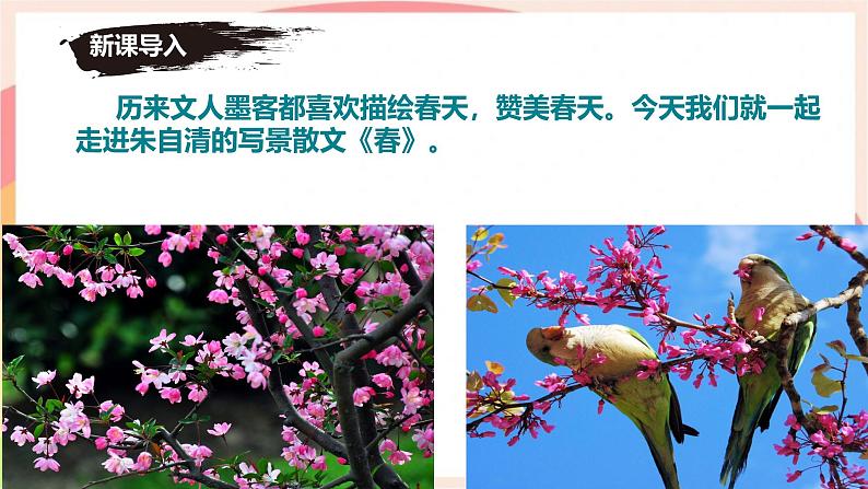 第1课《春》课件2024-2025学年统编版语文七年级上册第3页