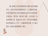 第17课《猫》课件-2024-2025学年统编版语文七年级上册（2024）