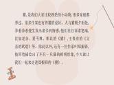 第17课《猫》课件-2024-2025学年统编版语文七年级上册（2024）