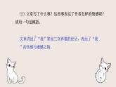 第17课《猫》课件-2024-2025学年统编版语文七年级上册（2024）
