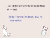 第17课《猫》课件 2024-2025学年统编版语文七年级上册