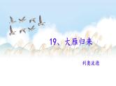 第19课《大雁归来》课件-2024-2025学年统编版语文七年级上册（2024）