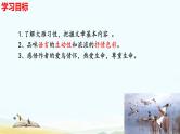 第19课《大雁归来》课件-2024-2025学年统编版语文七年级上册（2024）