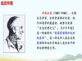 第19课《大雁归来》课件-2024-2025学年统编版语文七年级上册（2024）