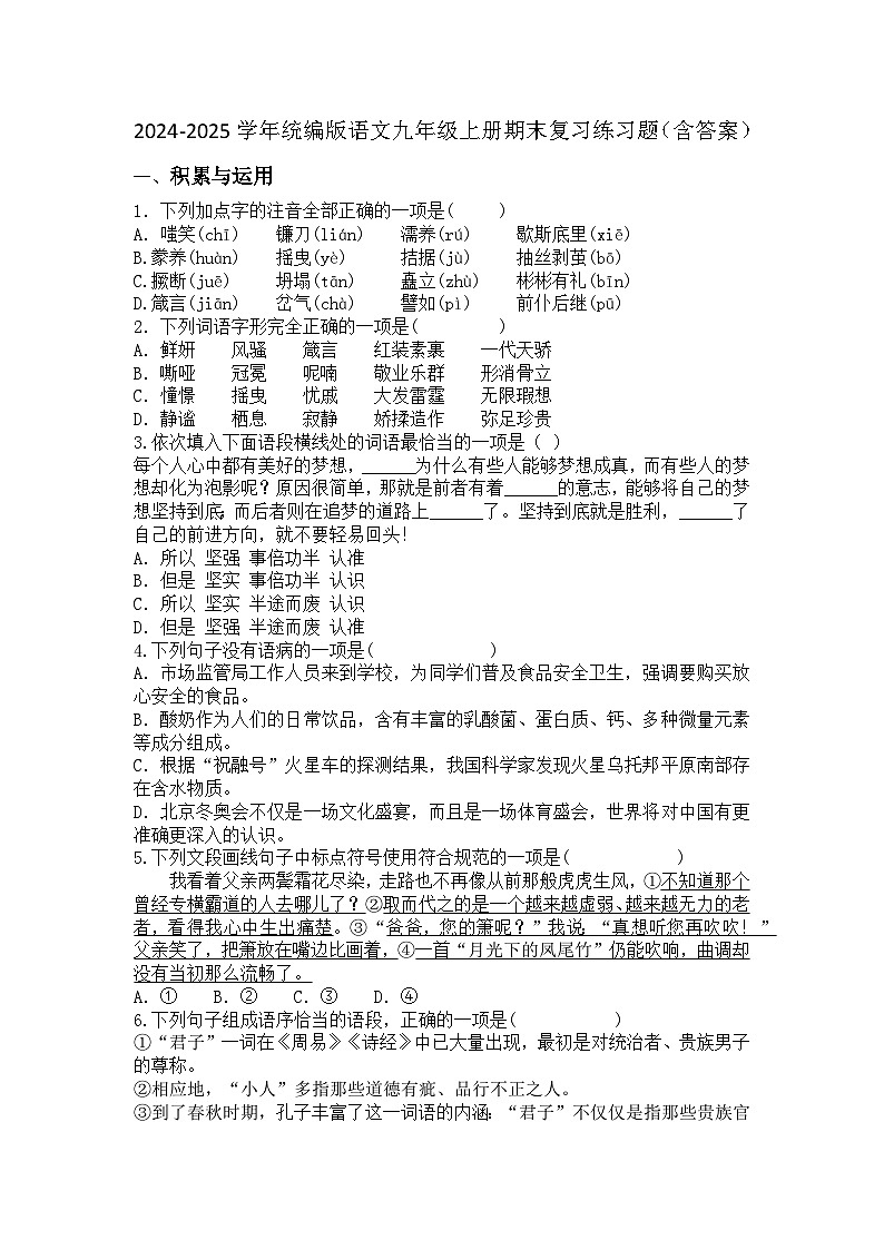 2024-2025学年统编版语文九年级上册期末复习练习题（含答案）第1页