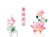 第7课《荷叶·母亲》课件-2024-2025学年统编版语文七年级上册（2024）