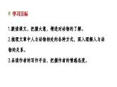 第18课《我的白鸽》课件 2024-2025学年统编版语文七年级上册