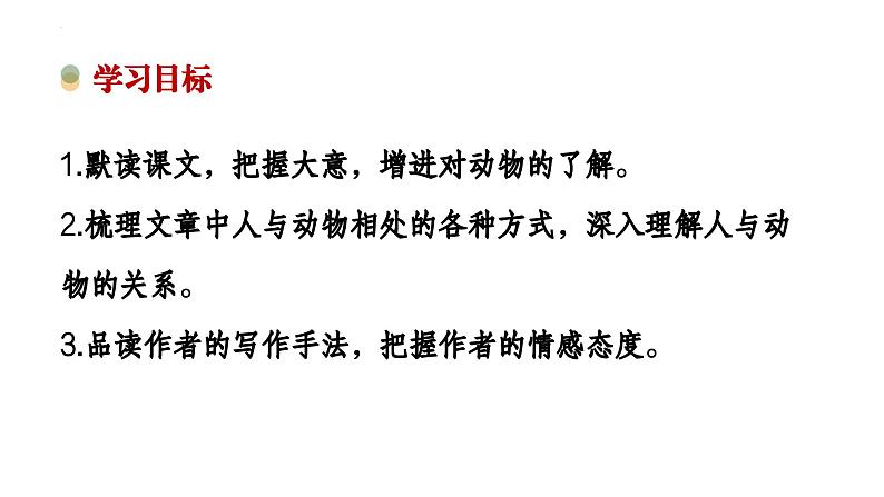 第18课《我的白鸽》课件 2024-2025学年统编版语文七年级上册第2页