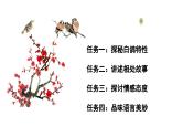 第18课《我的白鸽》课件 2024-2025学年统编版语文七年级上册