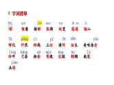 第18课《我的白鸽》课件 2024-2025学年统编版语文七年级上册