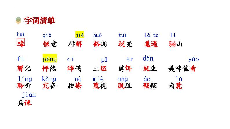 第18课《我的白鸽》课件 2024-2025学年统编版语文七年级上册第4页