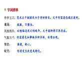 第18课《我的白鸽》课件 2024-2025学年统编版语文七年级上册