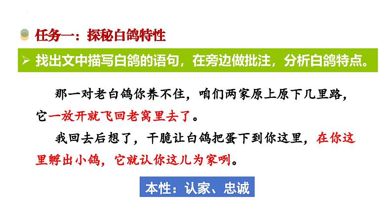 第18课《我的白鸽》课件 2024-2025学年统编版语文七年级上册第6页