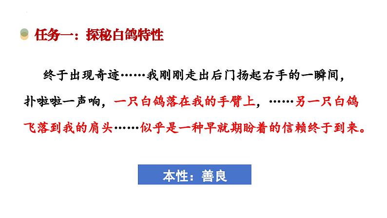 第18课《我的白鸽》课件 2024-2025学年统编版语文七年级上册第8页