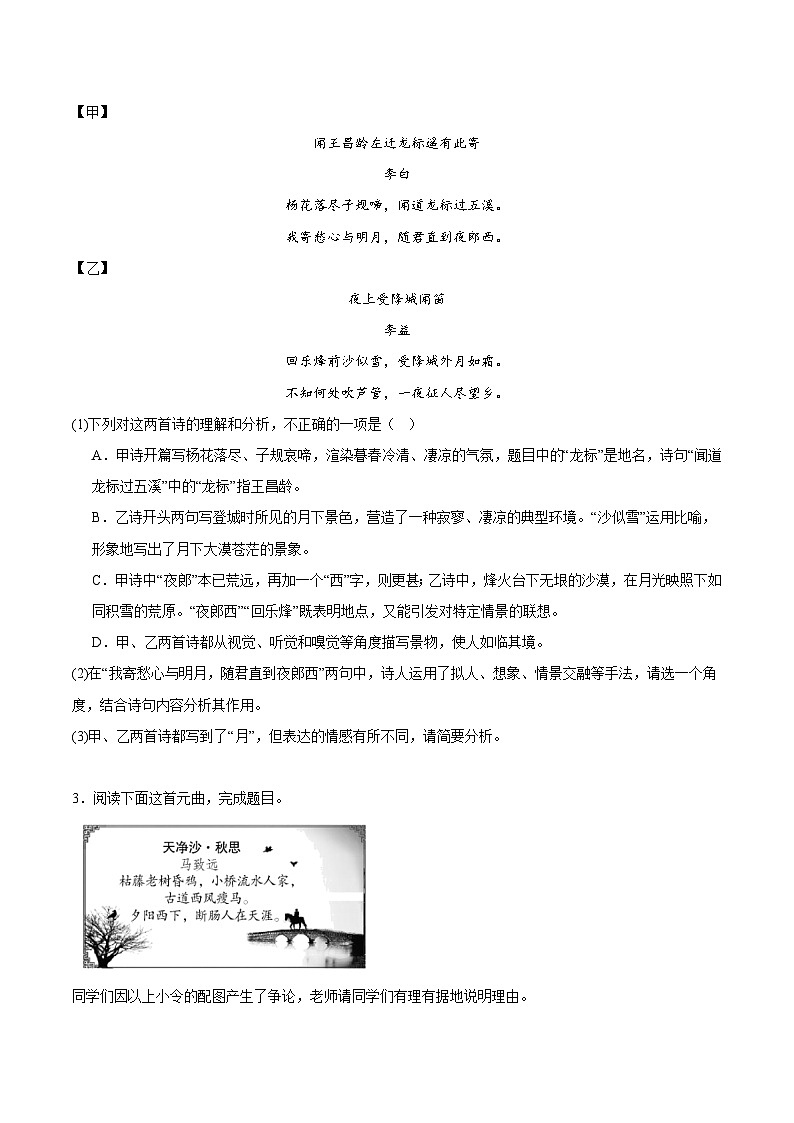 专题19  诗歌鉴赏（原卷版）第2页