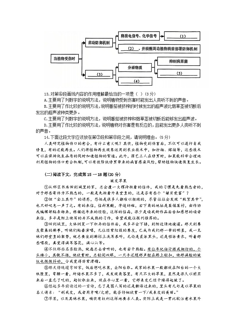 2025年上海市奉贤区初三语文一模试卷及答案第3页