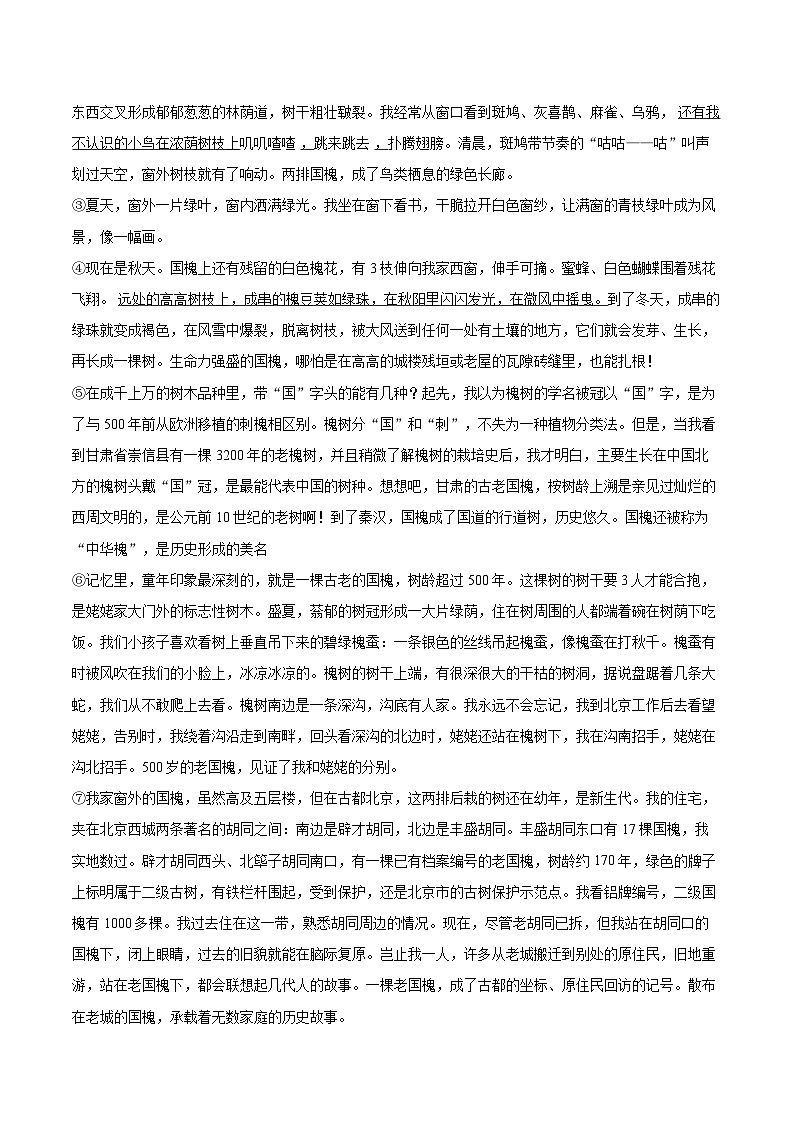 2023-2024学年安徽省阜阳市太和县八年级（上）期末语文试卷(含详细答案解析)第3页