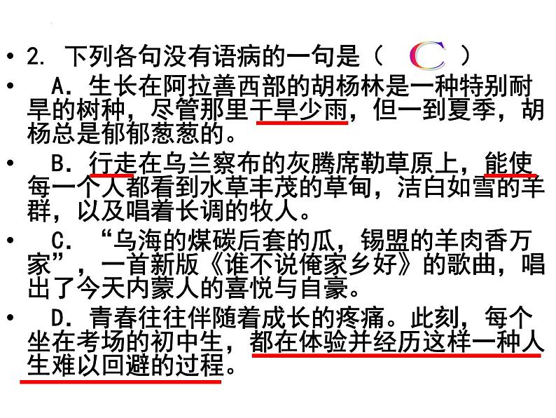 2024年中考语文三轮冲刺之病句练习题课件PPT第4页