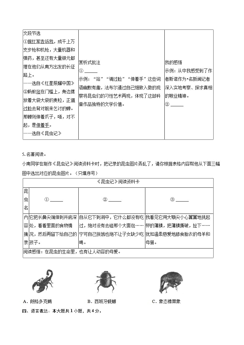 2023-2024学年广东省深圳高级中学八年级（上）期末语文试卷(含详细答案解析)第3页