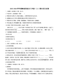 2023-2024学年湖南省娄底市八年级（上）期末语文试卷(含详细答案解析)