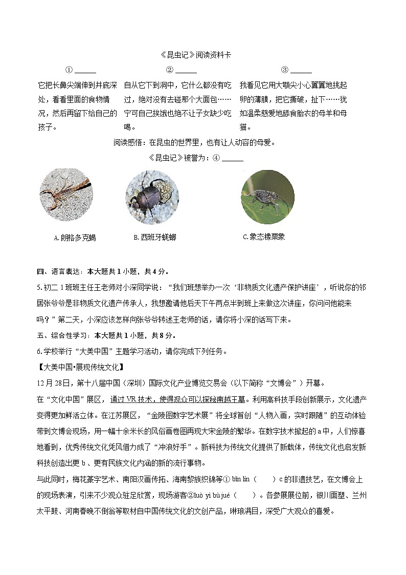 2024-2025学年广东省深圳高级中学八年级（上）期末语文模拟试卷(含详细答案解析)第3页