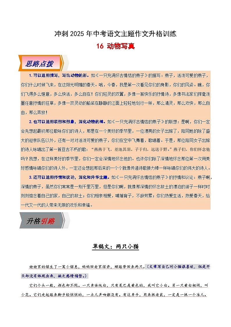 16 动物写真-冲刺2025年中考语文主题作文升格训练第1页