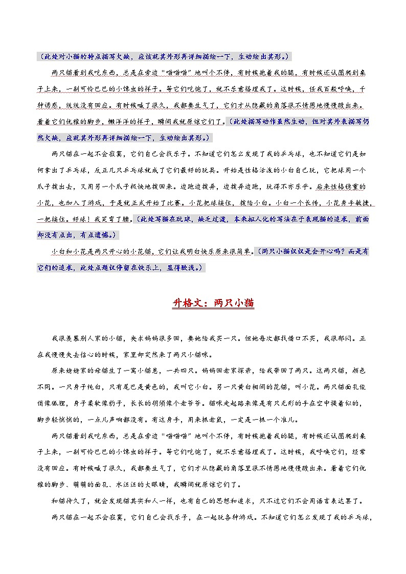 16 动物写真-冲刺2025年中考语文主题作文升格训练第2页