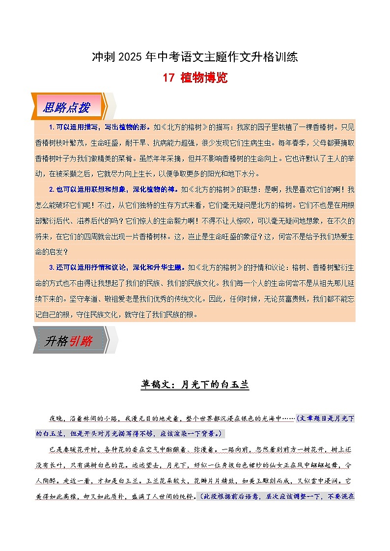 17 植物博览-冲刺2025年中考语文主题作文升格训练第1页