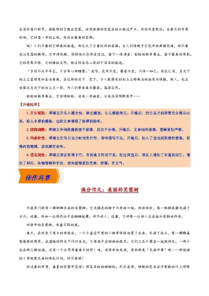 17 植物博览-冲刺2025年中考语文主题作文升格训练第3页