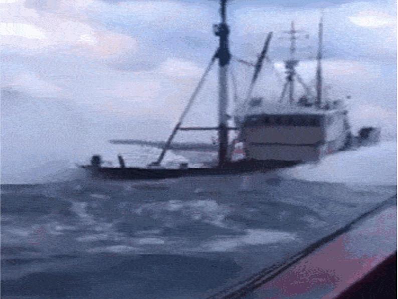 初中语文中考作文《这才是少年应有的模样》课件第2页