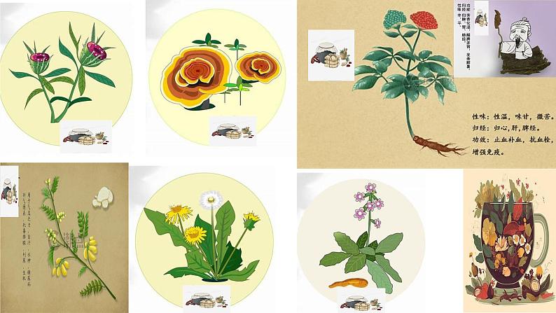 初中语文中考作文课件《扑面而来》第7页