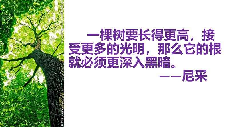 初中语文中考作文课件《你的美，照亮我的心》第3页