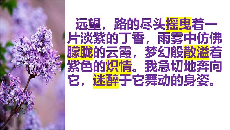 初中语文中考作文课件《你的美，照亮我的心》第8页