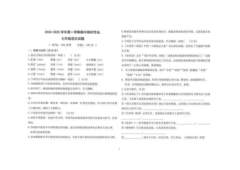 山东省东营市广饶县乐安中学2024-2025学年七年级11月期中-语文第1页