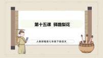 初中语文人教部编版（2024）七年级下册（2024）第四单元15 驿路梨花教课内容ppt课件