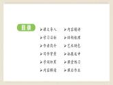 人教部编版2024语文七年级下册--第17课 青春之光课件