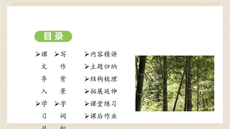 人教部编版2024语文七年级下册--第20课 井冈翠竹课件第2页