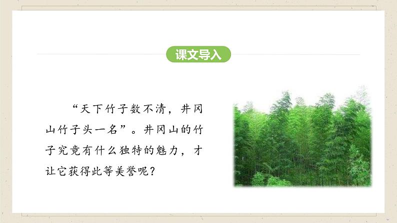 人教部编版2024语文七年级下册--第20课 井冈翠竹课件第3页