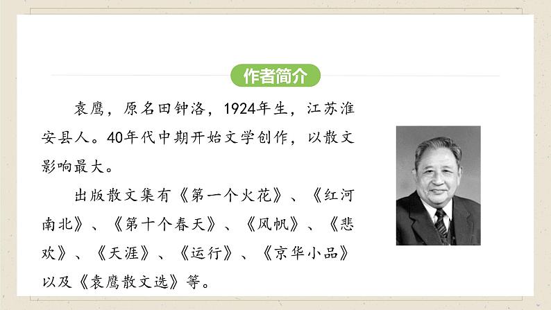 人教部编版2024语文七年级下册--第20课 井冈翠竹课件第5页