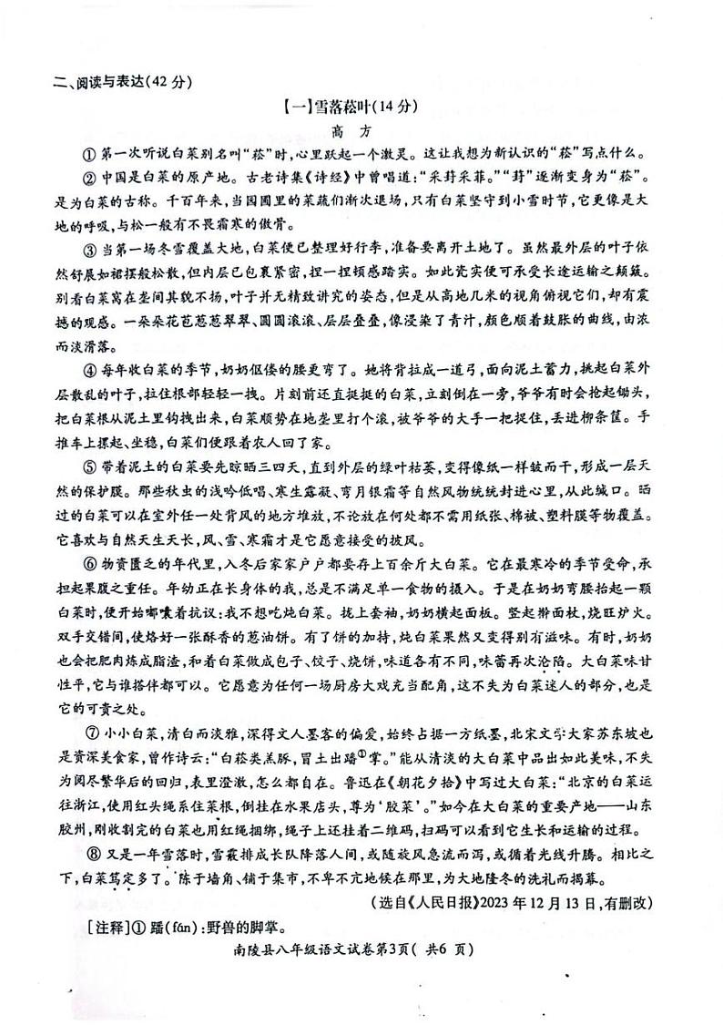 安徽省芜湖市南陵县2024-2025学年八年级上学期1月期末语文试题第3页